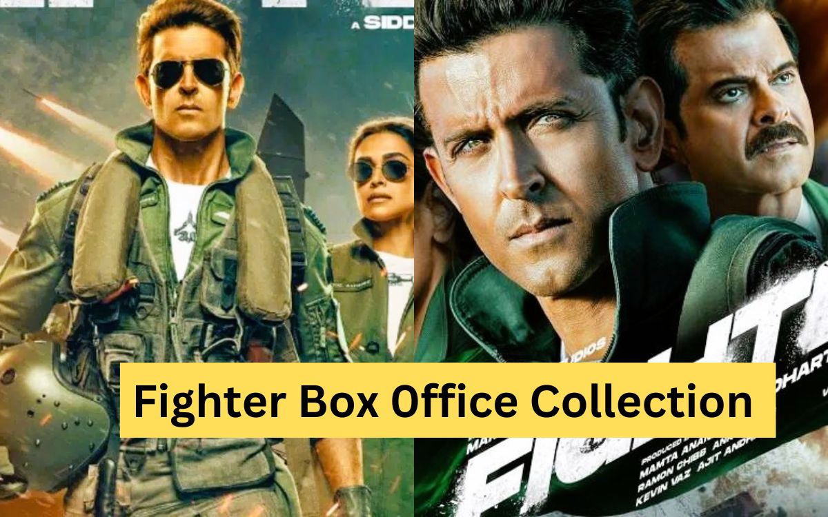 Fighter Box 0ffice Collection